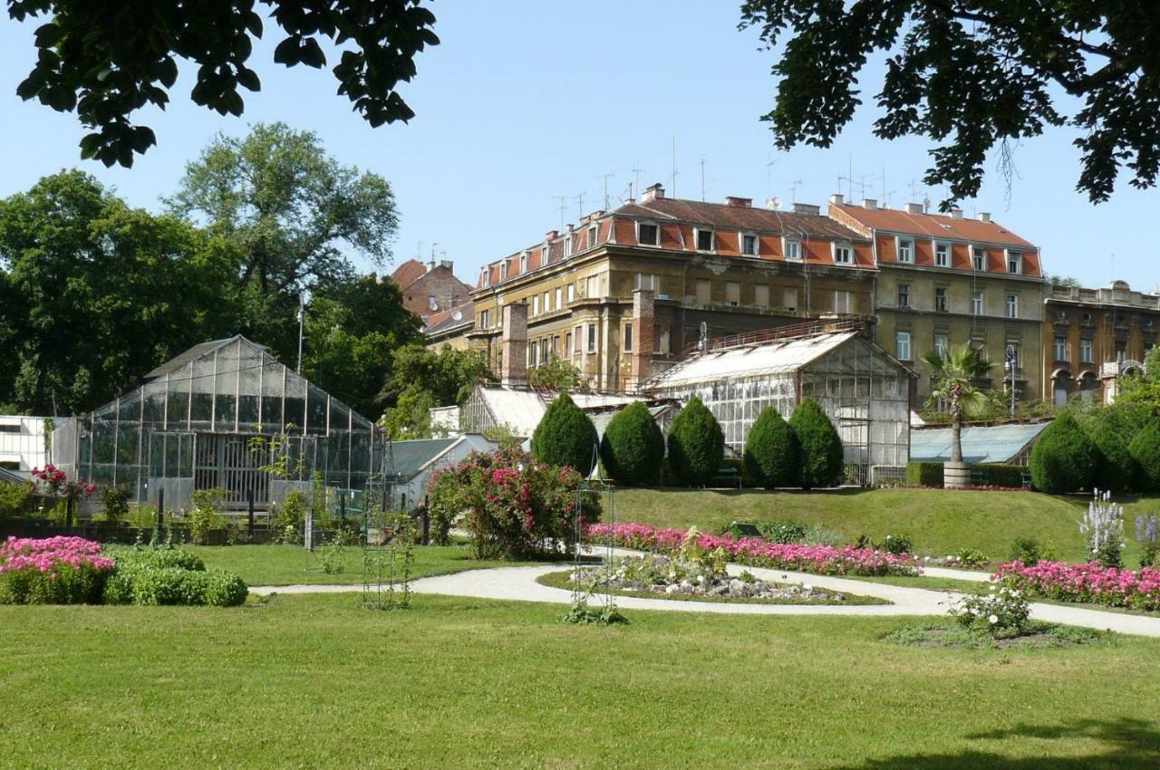 Apartman Zola