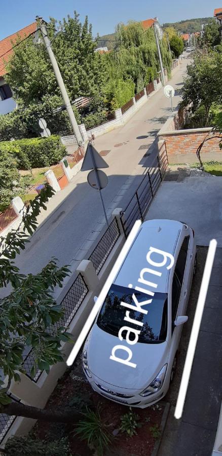 Zola * Zagreb